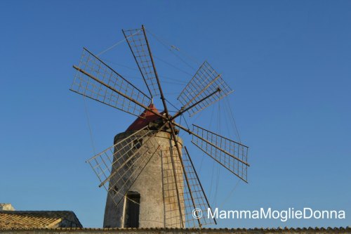 dintorni di San Vito Lo Capo Saline Trapani 4