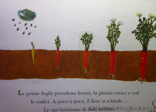 Il mio orto - Editoriale Scienza 6