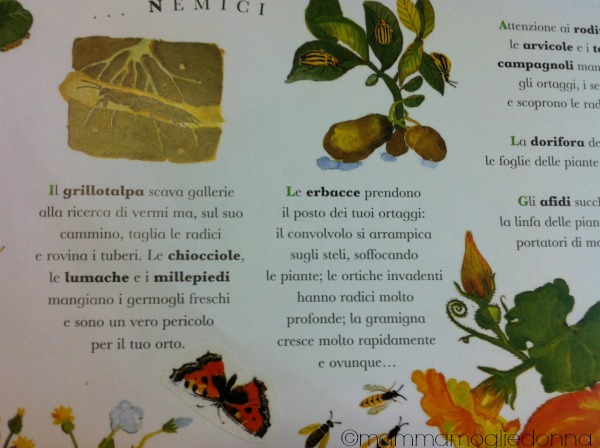 Il mio orto - Editoriale Scienza 8