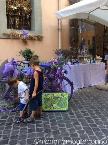 nemi borgo delle fragole 6