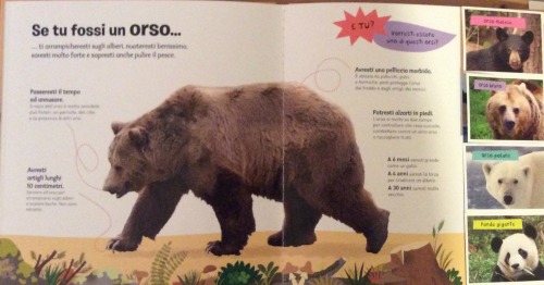 orso Editoriale Scienza 2