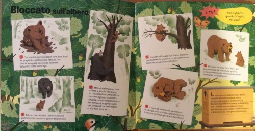 orso Editoriale Scienza 3