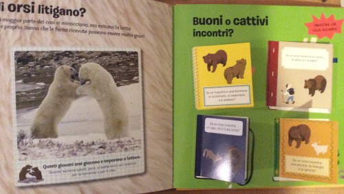 orso Editoriale Scienza 4