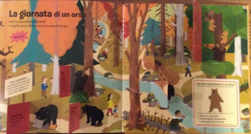 orso Editoriale Scienza 5