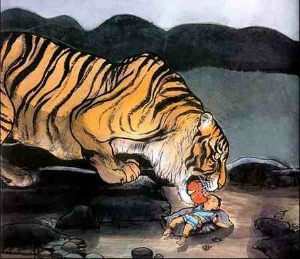 principe tigre