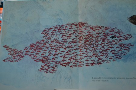 come un pesce nel diluvio 8