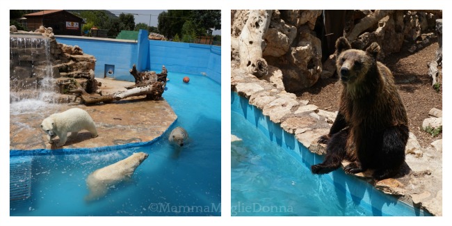 Zoosafari di Fasano con i bambini