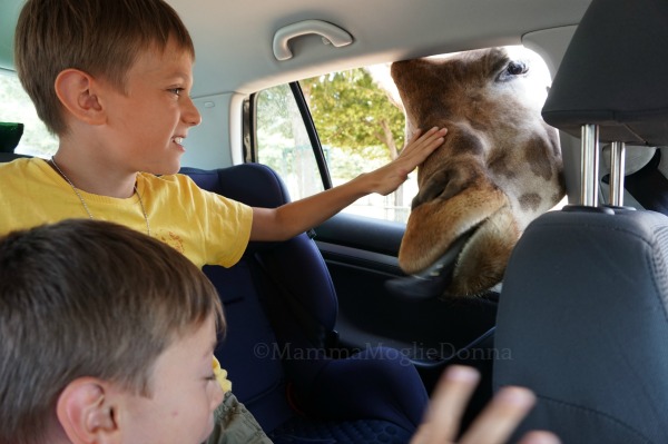 Zoosafari di Fasano con i bambini
