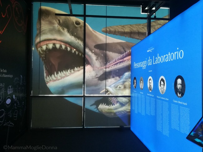 Paoleoaquarium in mostra a Genova il mare al tempo dei dinosauri
